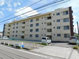 高洲町161の賃貸(アパート・マンション)