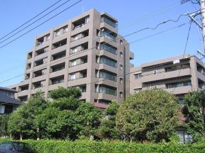 船塚2丁目19の売買(分譲マンション)