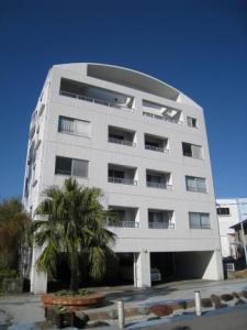 青島2丁目4-25の賃貸(アパート・マンション)