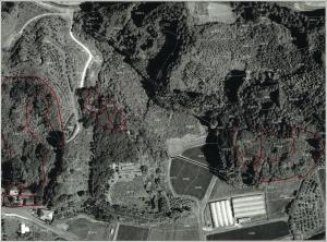 高岡町花見3221-1その他8筆(山林)の売買(売地)